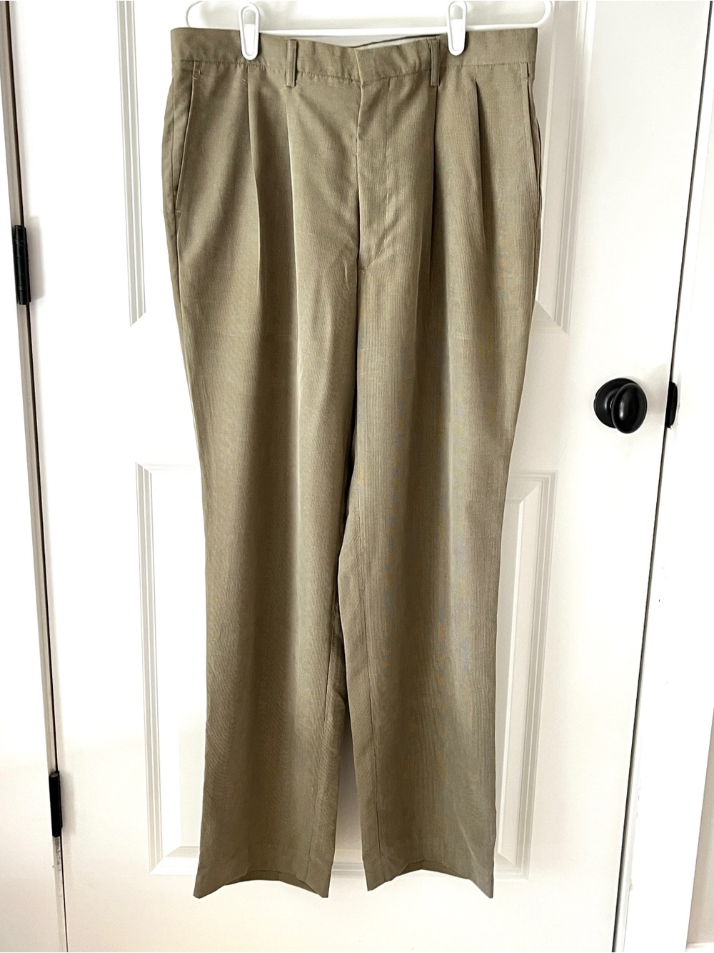 Claiborne Men’s Pleated Dress Pants Trousers 31 Waist Tan Khaki Olive